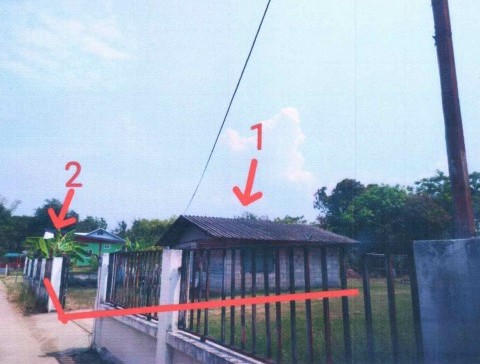 รูปที่ดินพร้อมสิ่งปลูกสร้าง วังทอง วังทอง พิษณุโลก