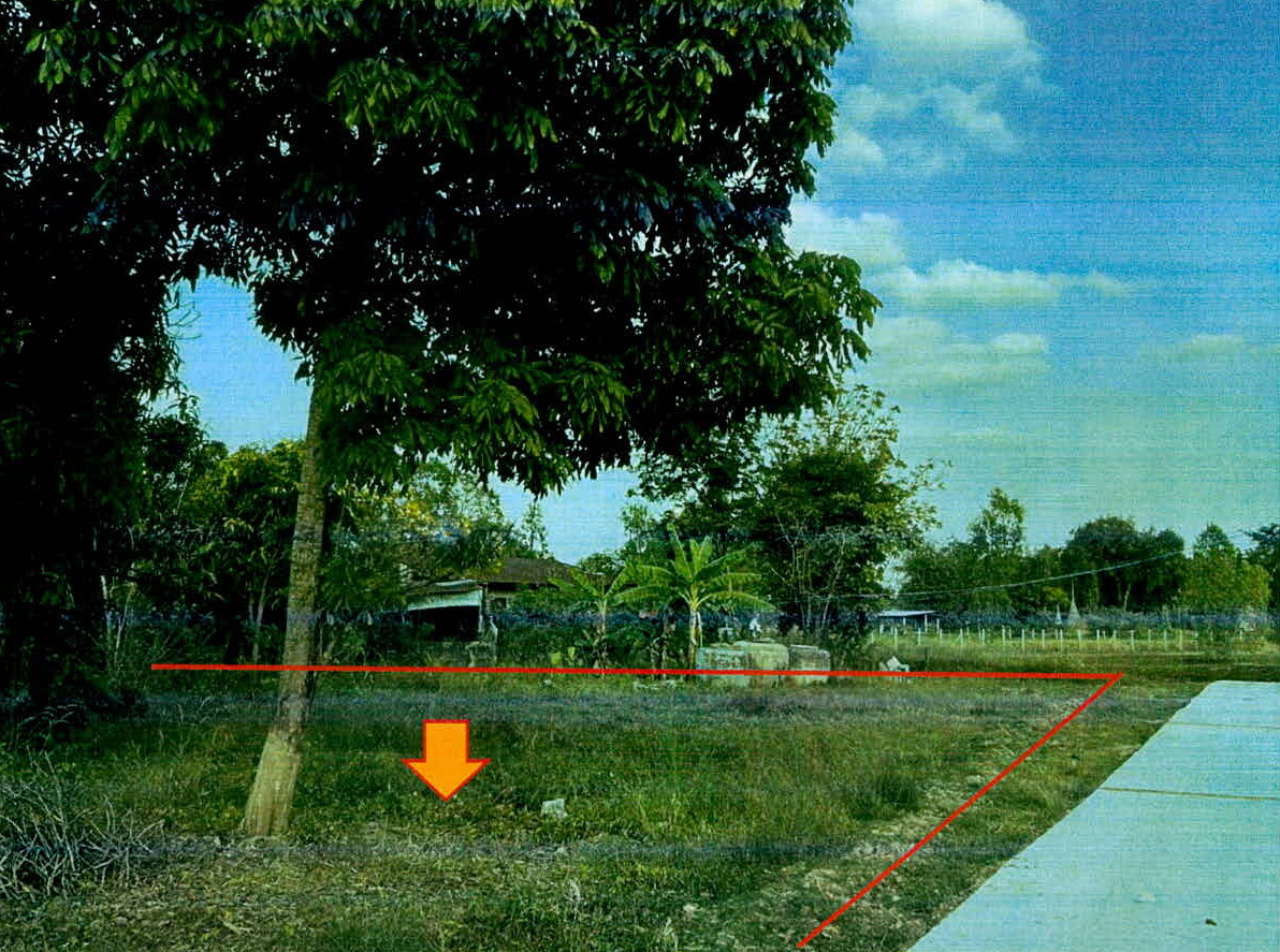 รูปที่ดินว่างเปล่า เทนมีย์ เมืองสุรินทร์ สุรินทร์