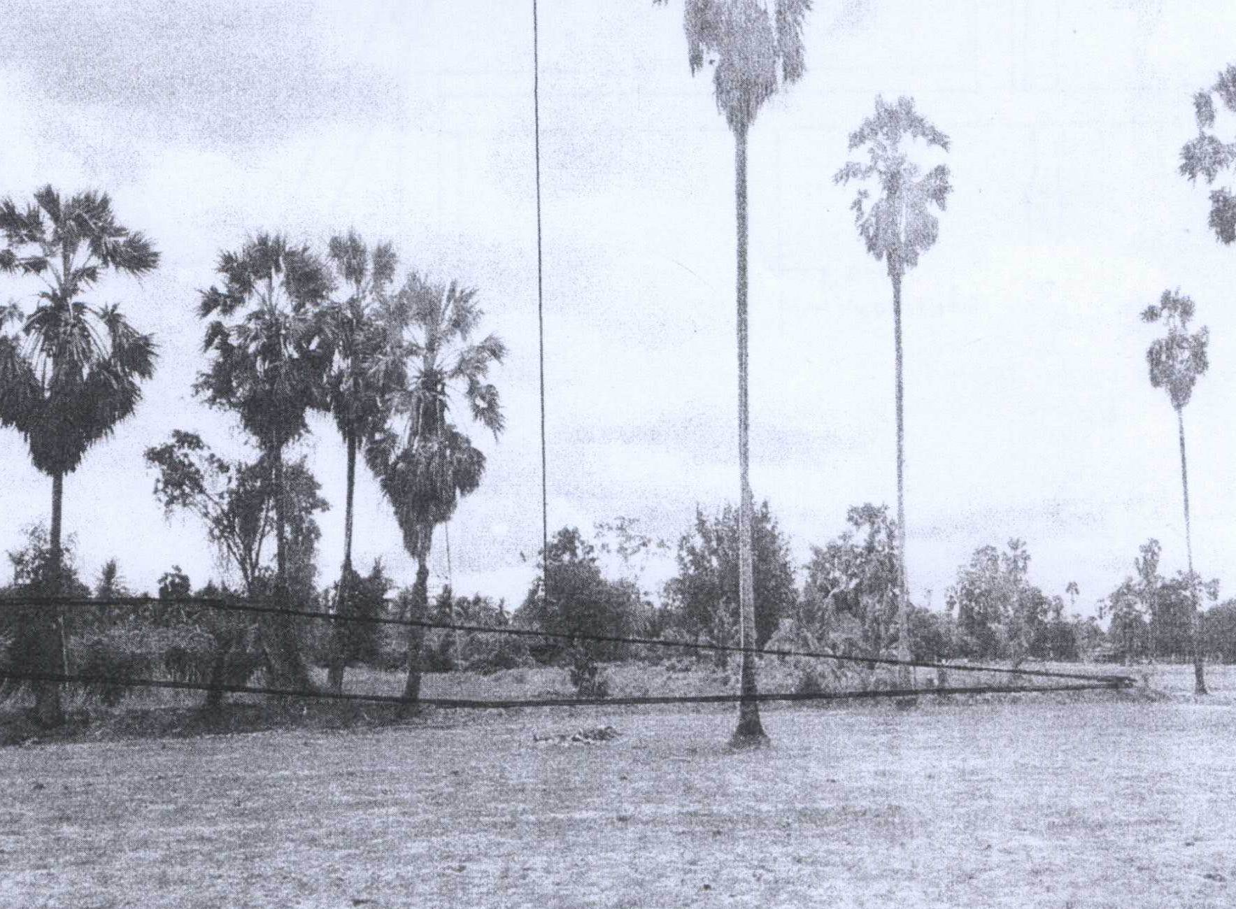 รูปที่ดินว่างเปล่า หนองกระเจ็ด บ้านลาด เพชรบุรี