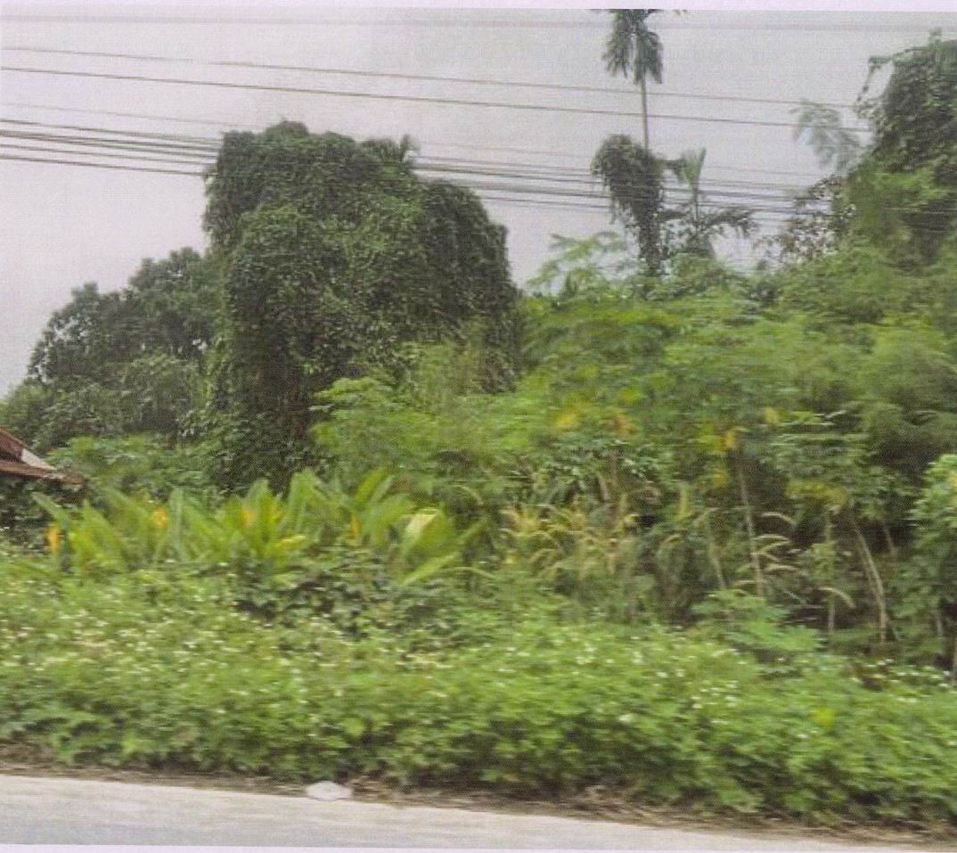 รูปที่ดินว่างเปล่า ท่าสะท้อน พุนพิน สุราษฎร์ธานี