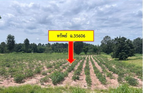 รูปที่ดินว่างเปล่า ภูดิน เมืองกาฬสินธุ์ กาฬสินธุ์