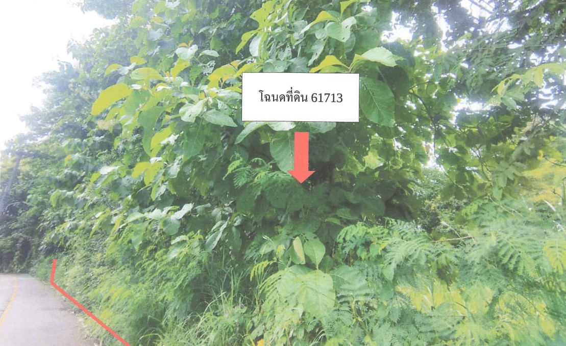 รูปที่ดินว่างเปล่า แม่โป่ง ดอยสะเก็ด เชียงใหม่