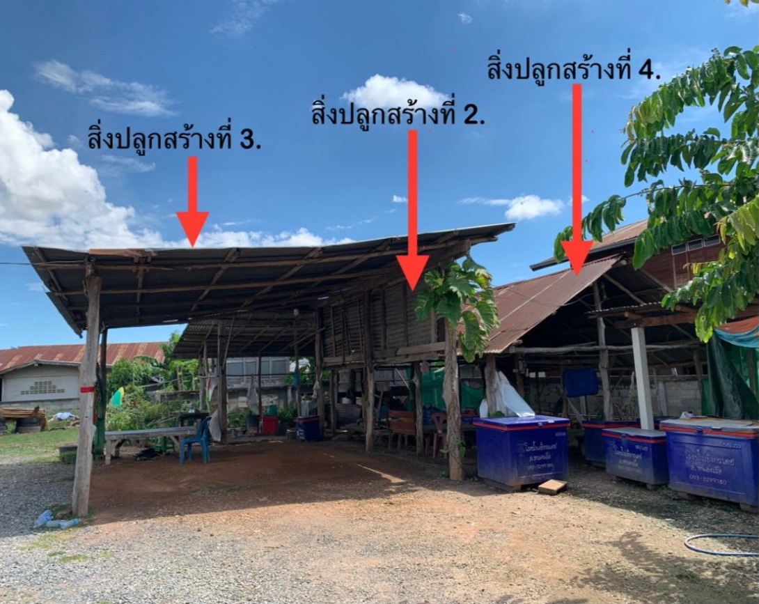 รูปที่ดินพร้อมสิ่งปลูกสร้าง ป่ามะนาว บ้านฝาง ขอนแก่น