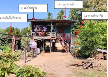 รูปที่ดินพร้อมสิ่งปลูกสร้าง หนองแขม พรหมพิราม พิษณุโลก