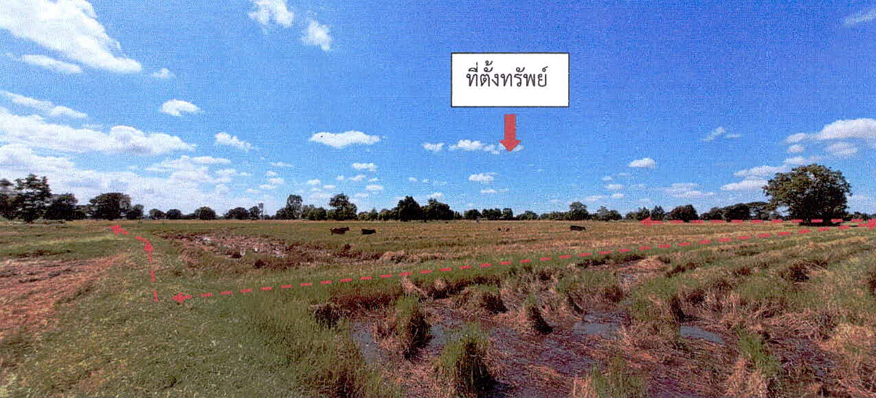 รูปที่ดินว่างเปล่า ตั้งใจ เมืองสุรินทร์ สุรินทร์