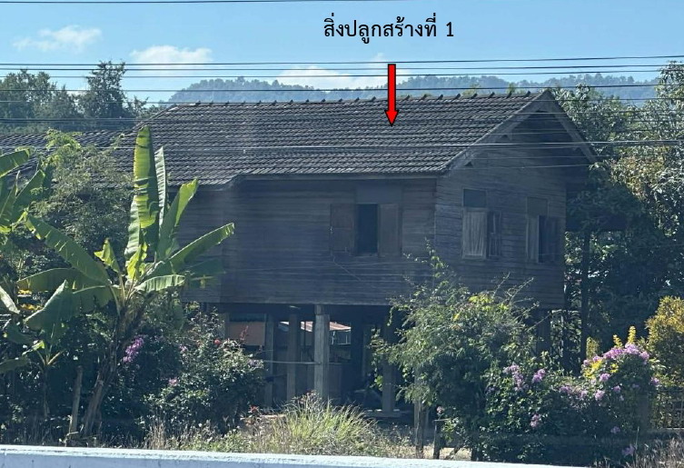 รูปที่ดินพร้อมสิ่งปลูกสร้าง แม่เจดีย์ใหม่ เวียงป่าเป้า เชียงราย