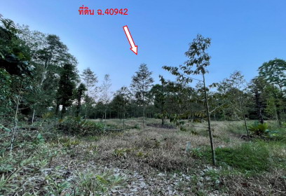 รูปที่ดินว่างเปล่า เทพราช สิชล นครศรีธรรมราช