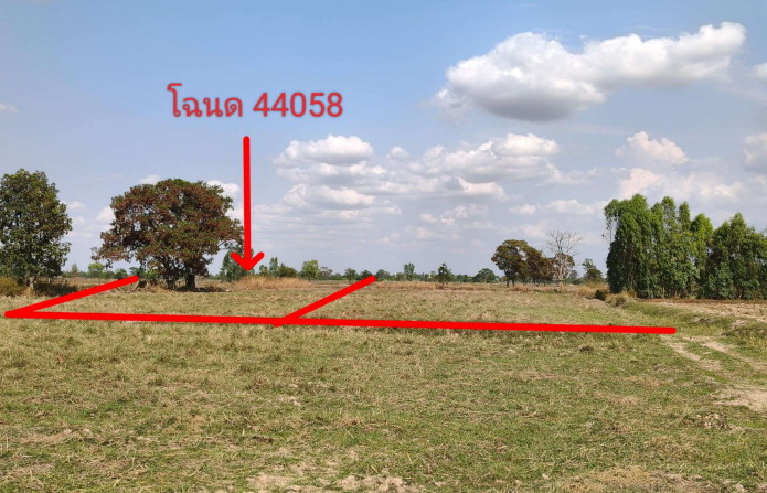 รูปที่ดินว่างเปล่า โนนสวรรค์ ปทุมรัตต์ ร้อยเอ็ด