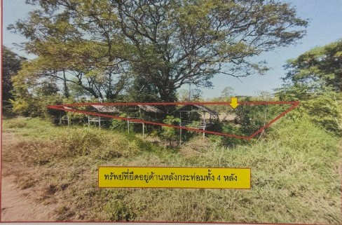 รูปที่ดินว่างเปล่า ท่าโพธิ์ เมืองพิษณุโลก พิษณุโลก