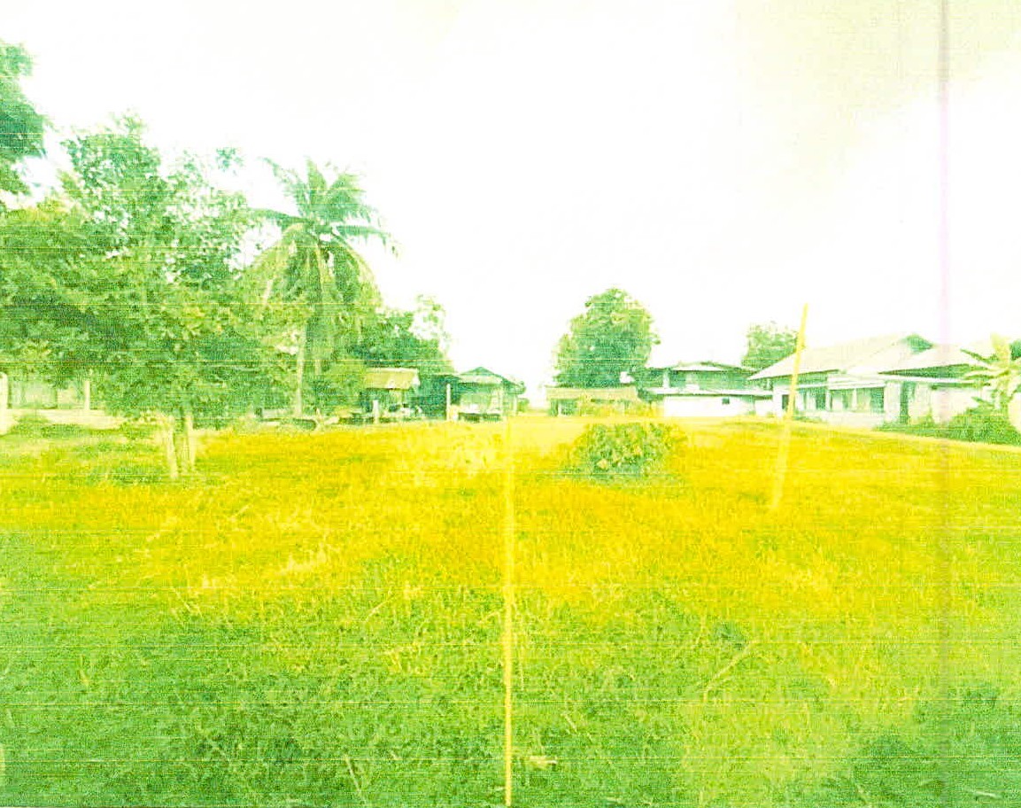 รูปที่ดินว่างเปล่า สำโรงตาเจ็น ขุขันธ์ ศรีสะเกษ