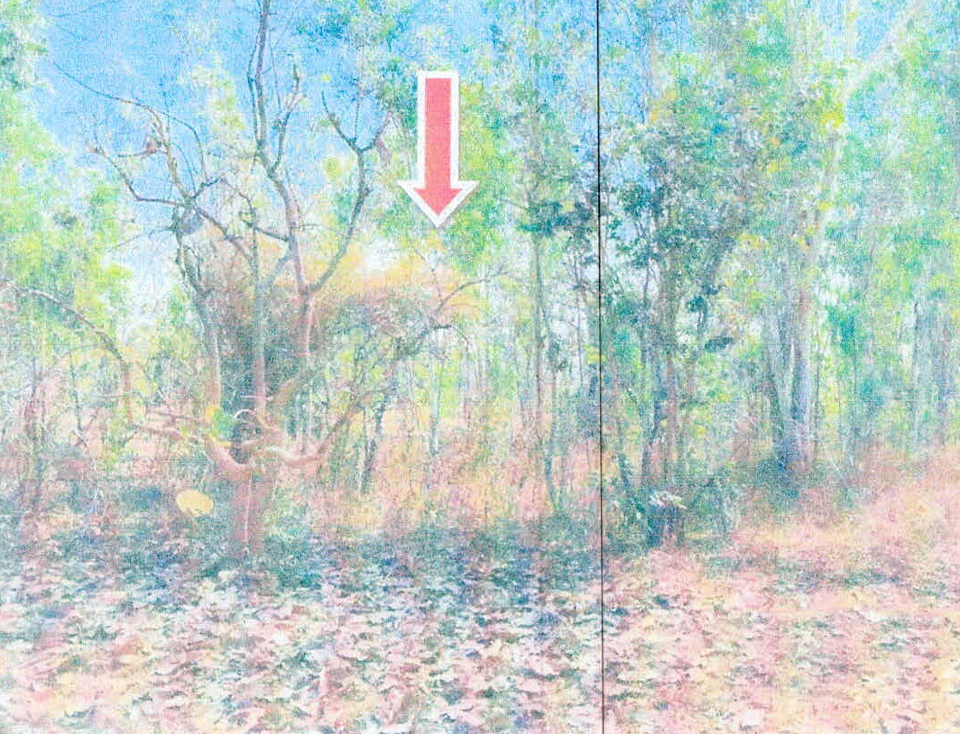 รูปที่ดินว่างเปล่า ตระการ ตระการพืชผล อุบลราชธานี