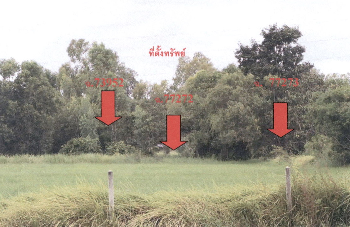 รูปที่ดินว่างเปล่า กาฬสินธุ์ เมืองกาฬสินธุ์ กาฬสินธุ์