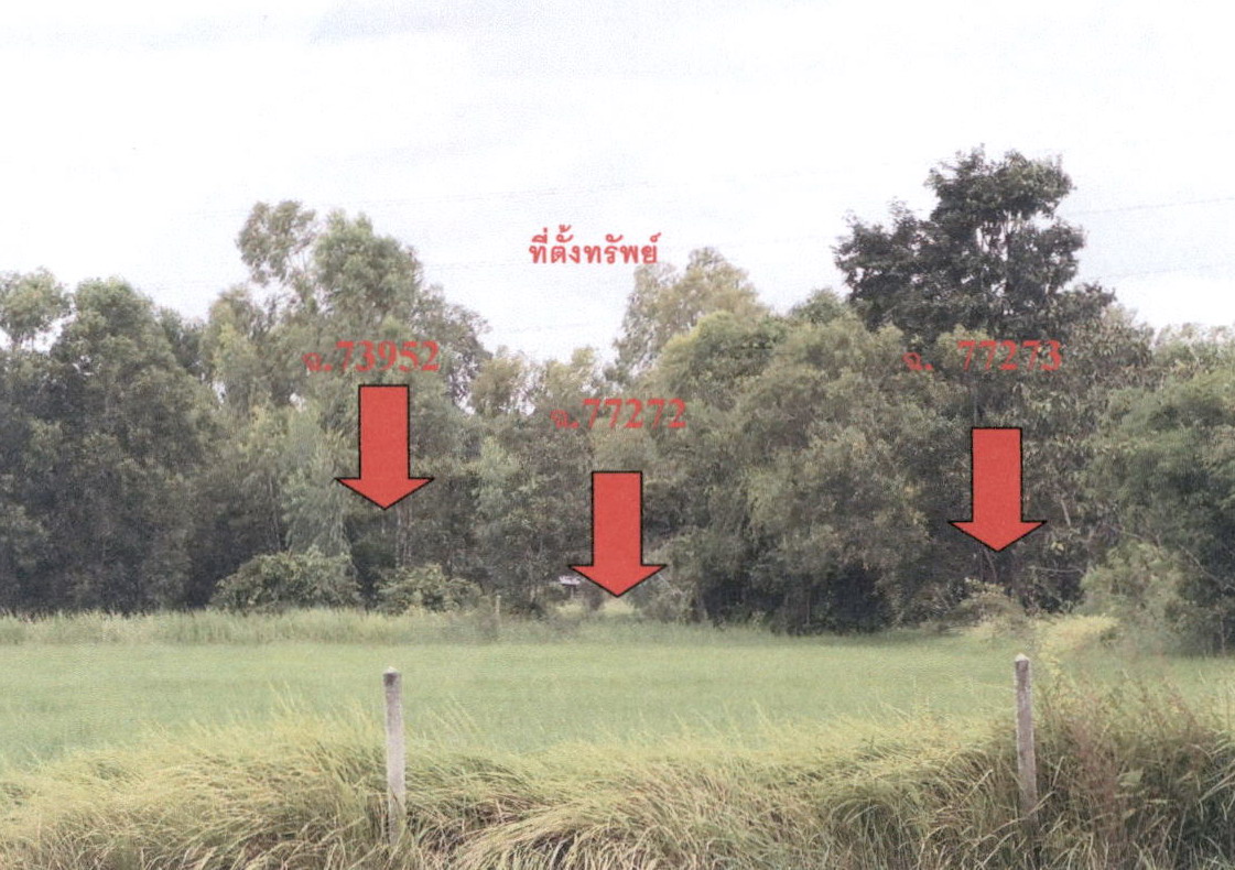 รูปที่ดินว่างเปล่า กาฬสินธุ์ เมืองกาฬสินธุ์ กาฬสินธุ์