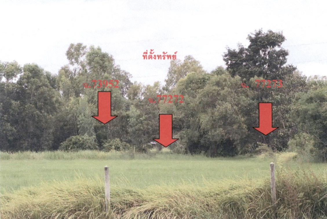 รูปที่ดินว่างเปล่า กาฬสินธุ์ เมืองกาฬสินธุ์ กาฬสินธุ์