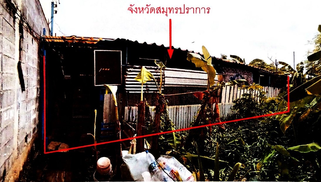 รูปที่ดินพร้อมสิ่งปลูกสร้าง บางครุ พระประแดง สมุทรปราการ