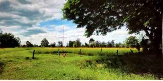 รูปที่ดินว่างเปล่า หนองหมื่นถ่าน อาจสามารถ ร้อยเอ็ด