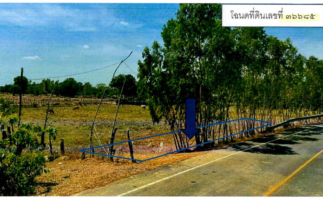 รูปที่ดินว่างเปล่า บุแกรง จอมพระ สุรินทร์