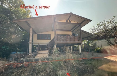 รูปที่ดินพร้อมสิ่งปลูกสร้าง ท่าโพธิ์ เมืองพิษณุโลก พิษณุโลก