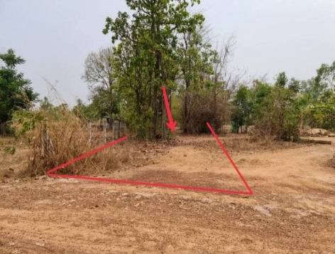 รูปที่ดินว่างเปล่า นากว้าง เมืองอุดรธานี อุดรธานี
