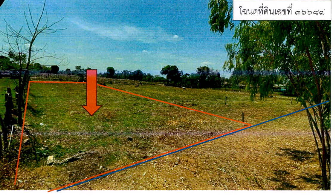 รูปที่ดินว่างเปล่า บุแกรง จอมพระ สุรินทร์