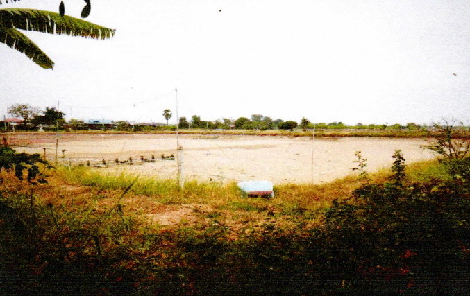 รูปที่ดินว่างเปล่า ดอนข่อย กำแพงแสน นครปฐม