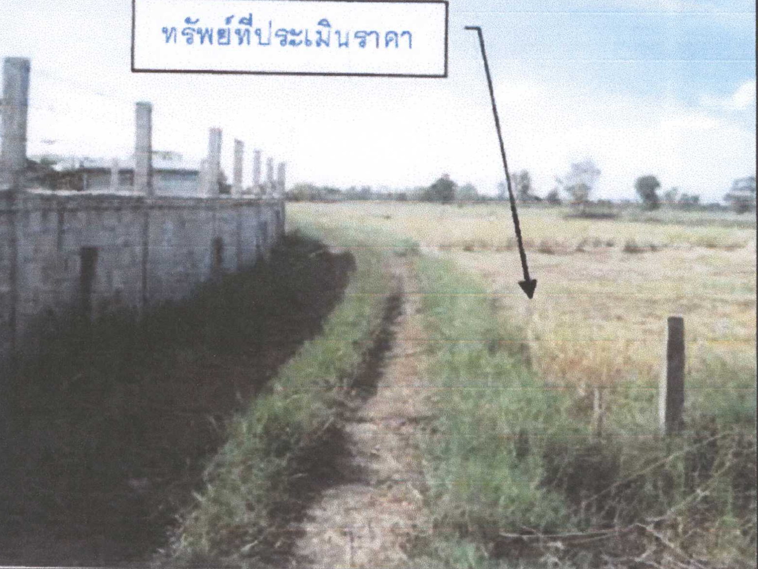 รูปที่ดินว่างเปล่า แพง โกสุมพิสัย มหาสารคาม