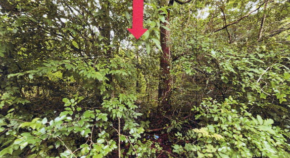 รูปที่ดินว่างเปล่า ไร่น้อย เมืองอุบลราชธานี อุบลราชธานี