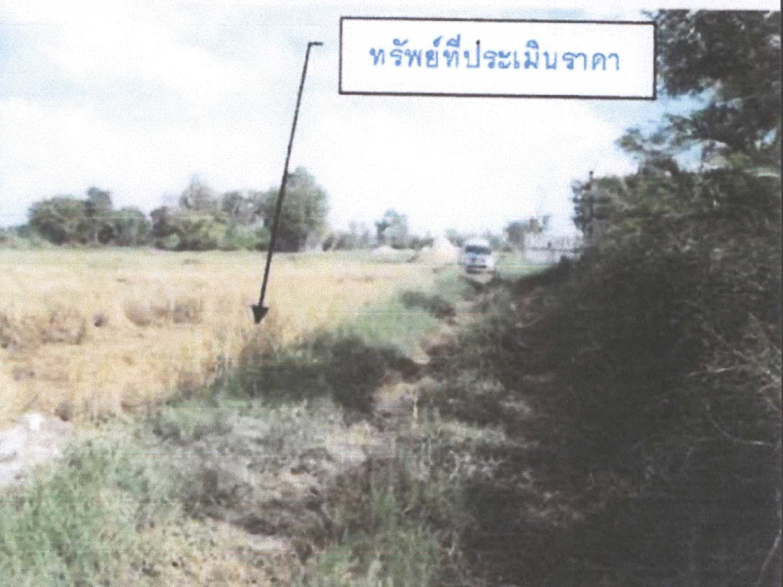 รูปที่ดินว่างเปล่า แพง โกสุมพิสัย มหาสารคาม