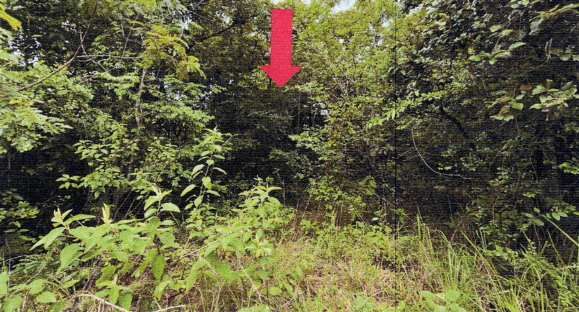 รูปที่ดินว่างเปล่า ไร่น้อย เมืองอุบลราชธานี อุบลราชธานี