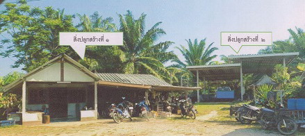 รูปที่ดินพร้อมสิ่งปลูกสร้าง ไม้ฝาด สิเกา ตรัง