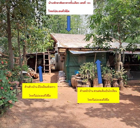 รูปที่ดินพร้อมสิ่งปลูกสร้าง นาแก้ว เมืองสกลนคร สกลนคร