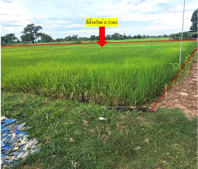 รูปที่ดินว่างเปล่า เขวา เมืองมหาสารคาม มหาสารคาม