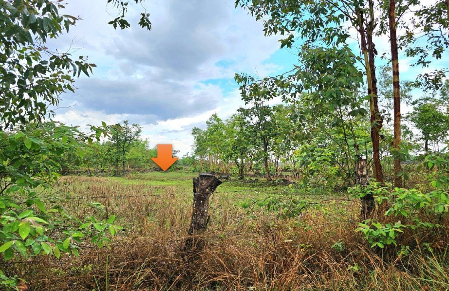 รูปที่ดินว่างเปล่า บะหว้า อากาศอำนวย สกลนคร