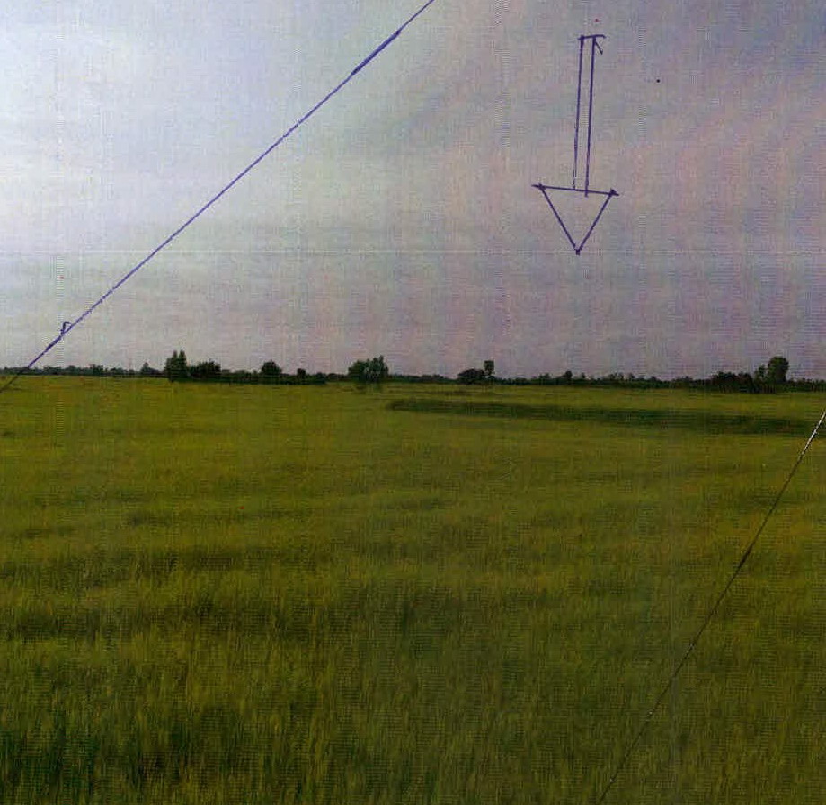 รูปที่ดินว่างเปล่า ตรึม ศีขรภูมิ สุรินทร์