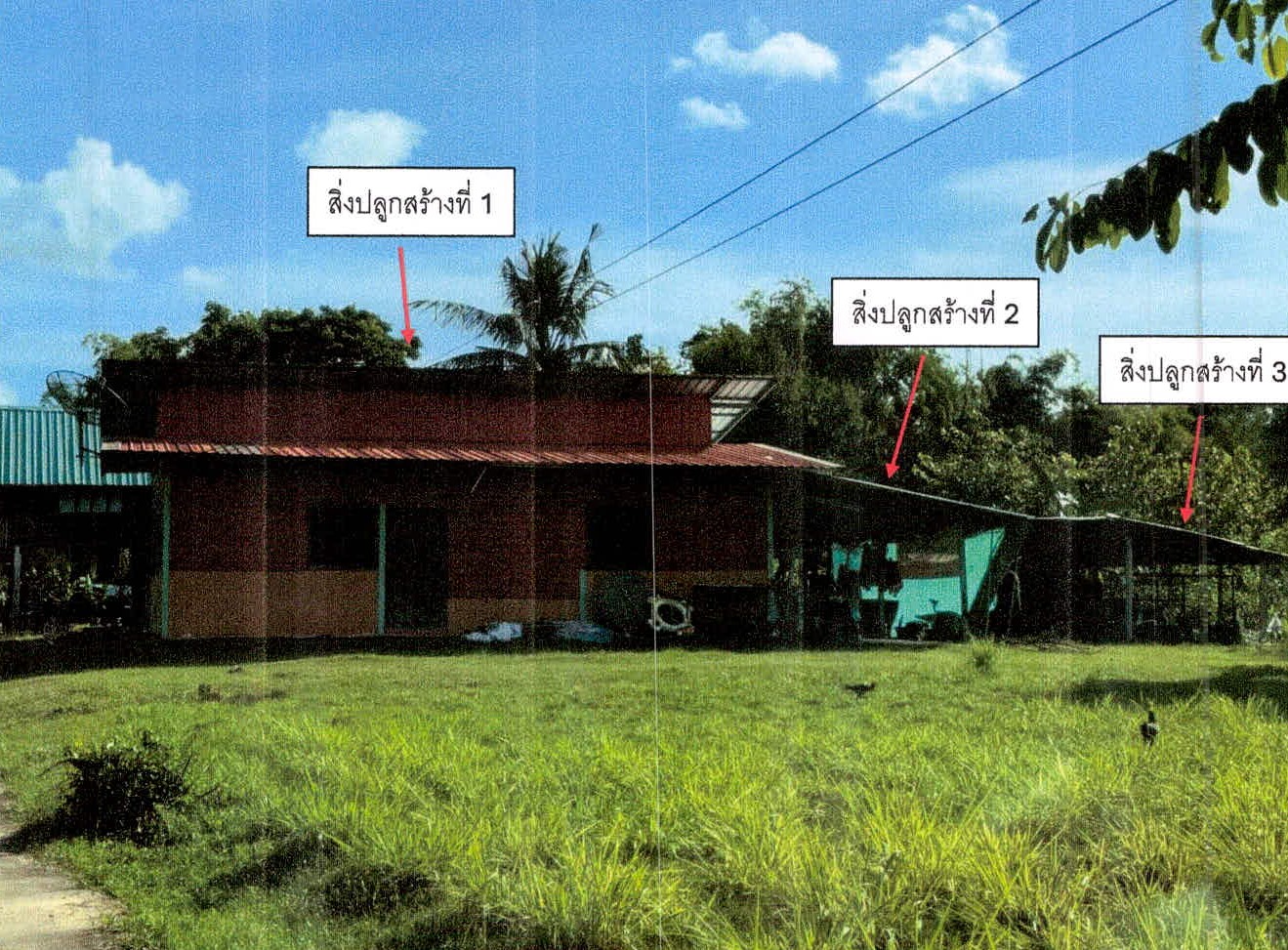รูปที่ดินพร้อมสิ่งปลูกสร้าง โพนค้อ เมืองศรีสะเกษ ศรีสะเกษ