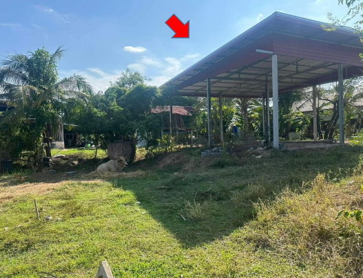 รูปที่ดินพร้อมสิ่งปลูกสร้าง หนองไผ่ ธวัชบุรี ร้อยเอ็ด