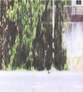รูปที่ดินว่างเปล่า นาเคียน เมืองนครศรีธรรมราช นครศรีธรรมราช