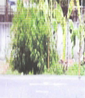 รูปที่ดินว่างเปล่า นาเคียน เมืองนครศรีธรรมราช นครศรีธรรมราช