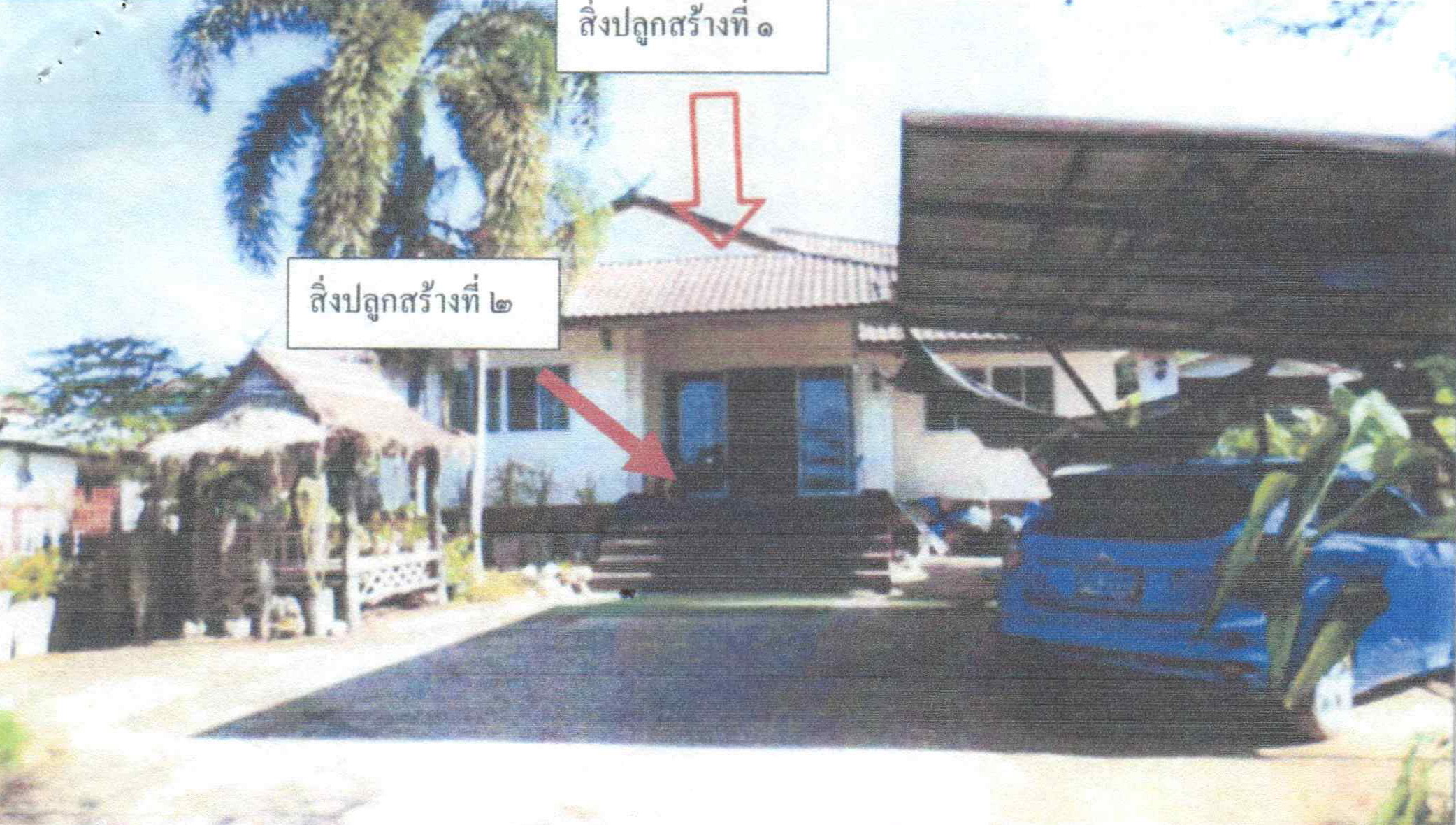 รูปที่ดินพร้อมสิ่งปลูกสร้าง นาอ้อ เมืองเลย เลย
