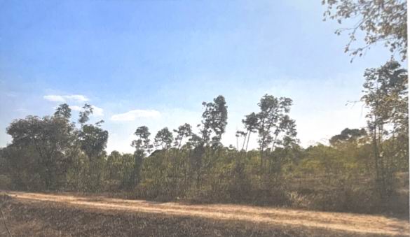 รูปที่ดินว่างเปล่า หนองแก้ว ประจันตคาม ปราจีนบุรี