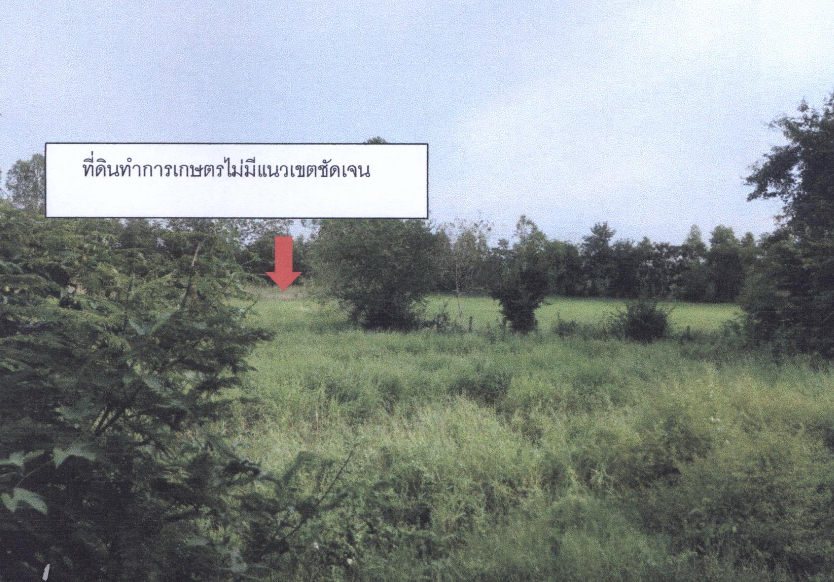 รูปที่ดินว่างเปล่า โนนทอง บ้านผือ อุดรธานี