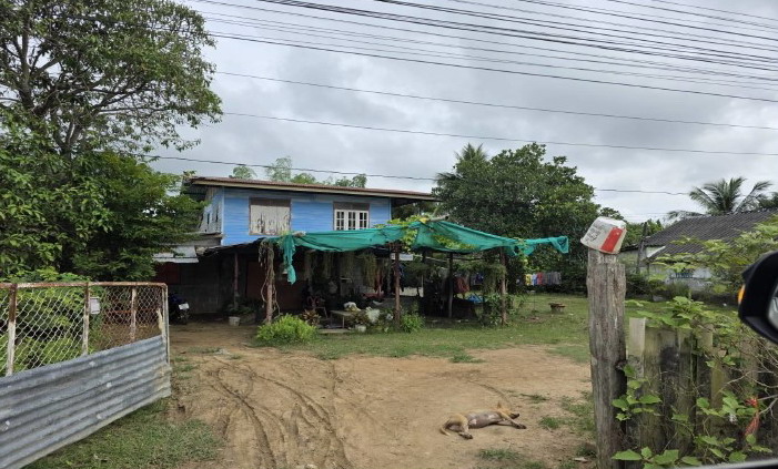 รูปที่ดินพร้อมสิ่งปลูกสร้าง บ้านนา วชิรบารมี พิจิตร