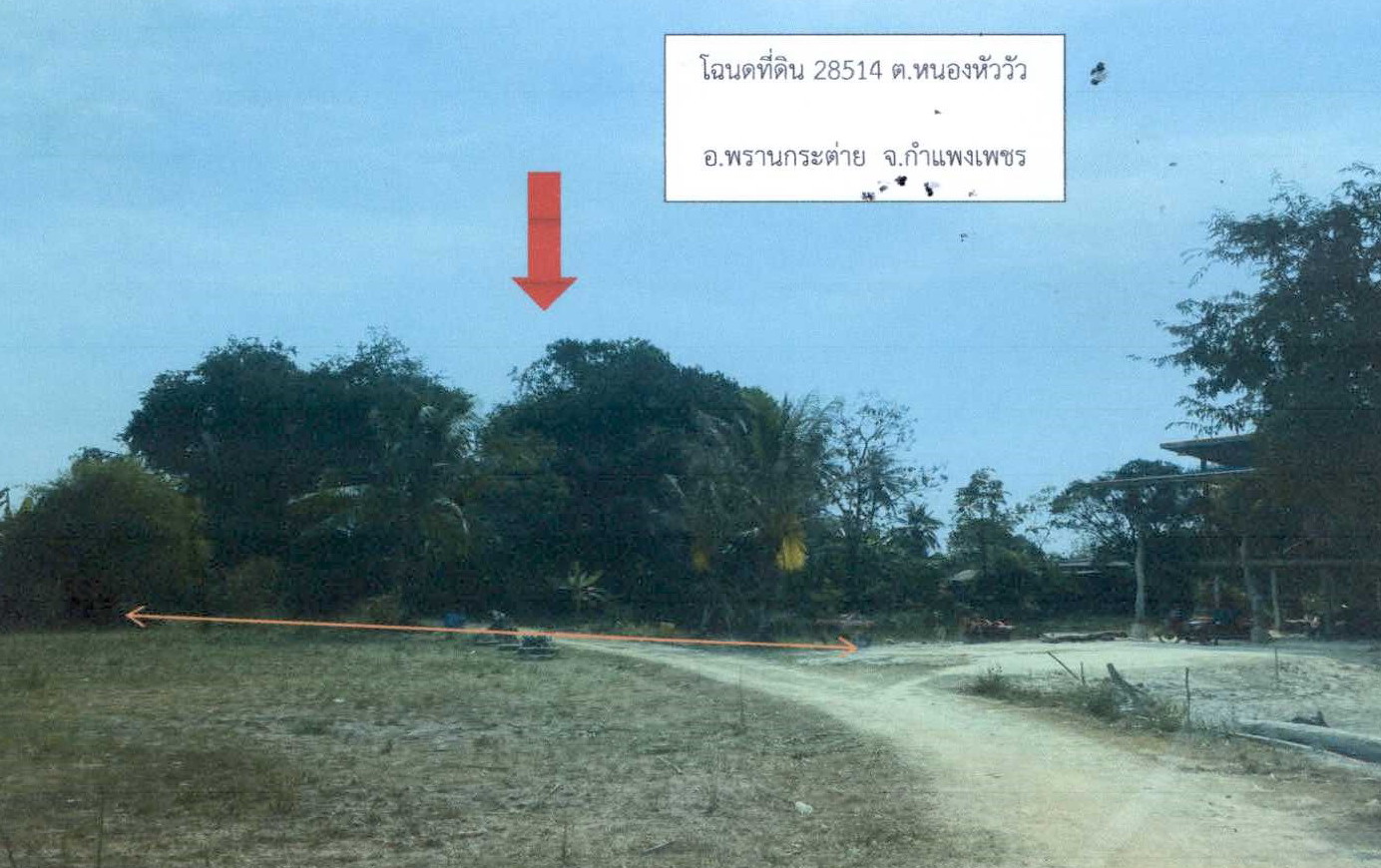 รูปที่ดินว่างเปล่า หนองหัววัว พรานกระต่าย กำแพงเพชร