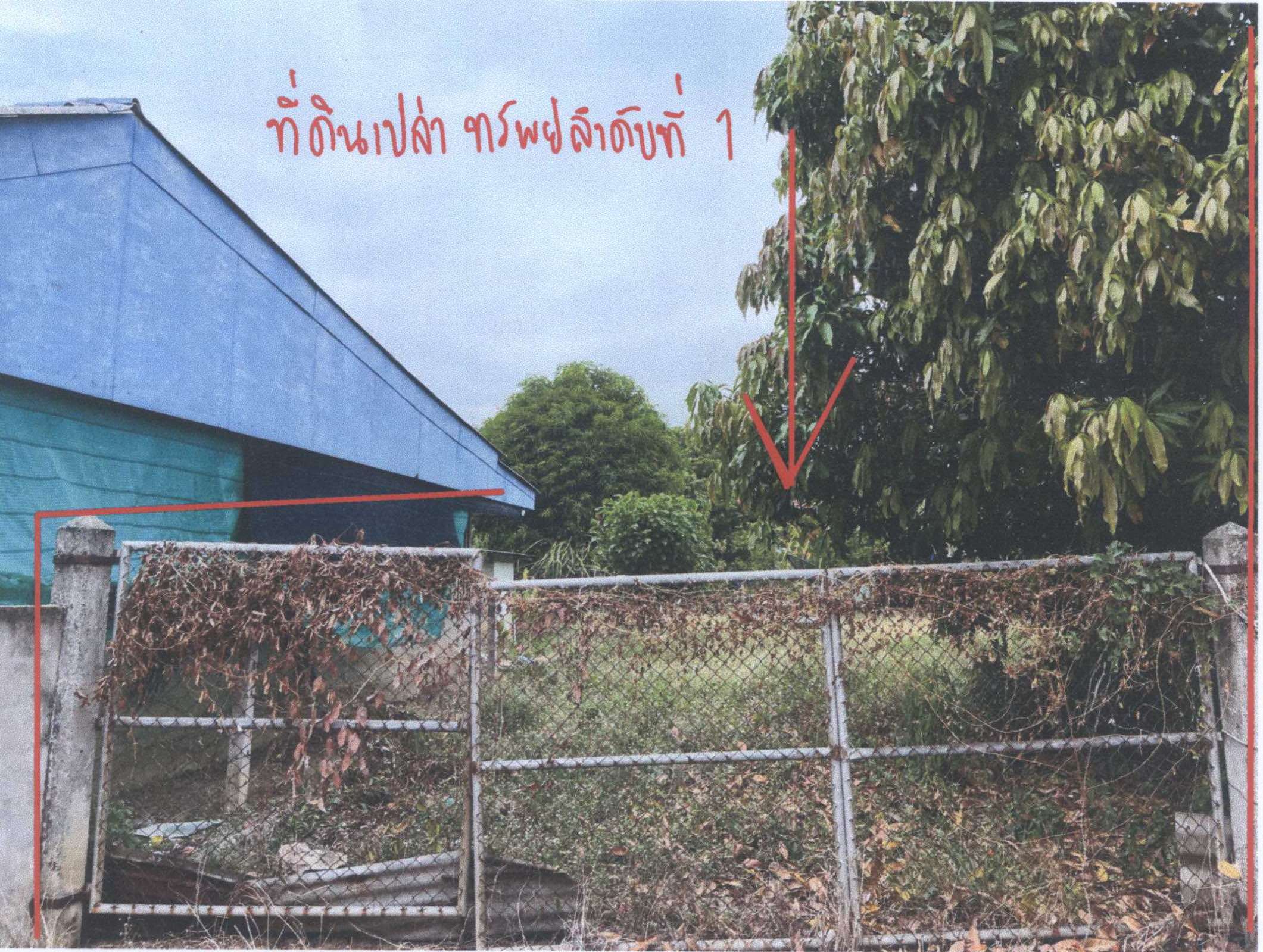 รูปที่ดินพร้อมสิ่งปลูกสร้าง เดิมบาง เดิมบางนางบวช สุพรรณบุรี