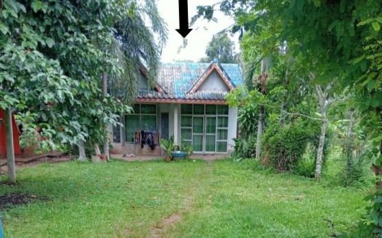 รูปที่ดินพร้อมสิ่งปลูกสร้าง ควนหนองหงษ์ ชะอวด นครศรีธรรมราช