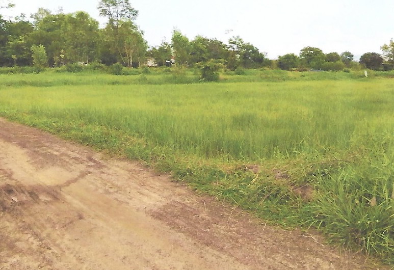 รูปที่ดินว่างเปล่า ไร่ขี อำเภอลืออำนาจ อำนาจเจริญ