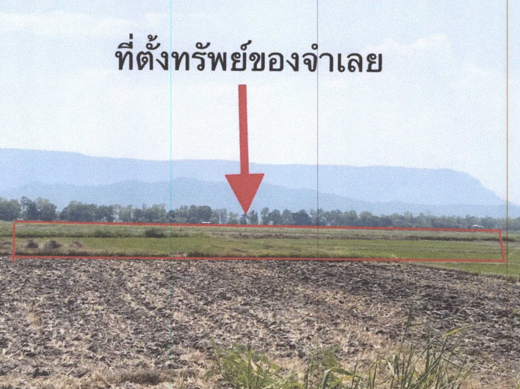 รูปที่ดินว่างเปล่า ป่าแดด ป่าแดด เชียงราย