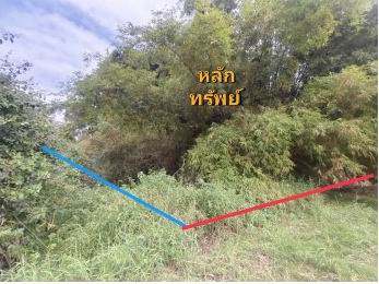รูปที่ดินว่างเปล่า ดงลิง กมลาไสย กาฬสินธุ์