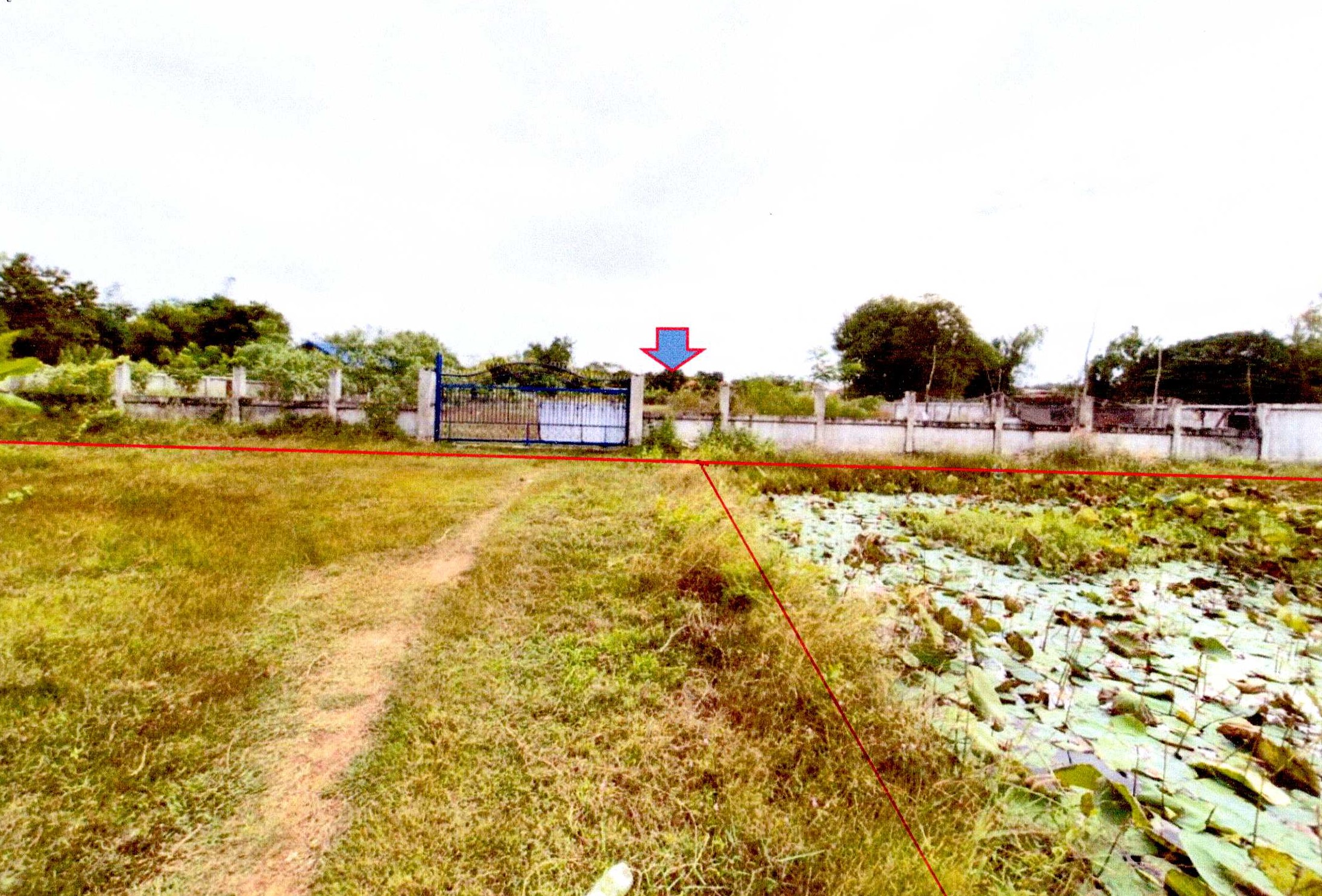 รูปที่ดินพร้อมสิ่งปลูกสร้าง หนองกอมเกาะ เมืองหนองคาย หนองคาย