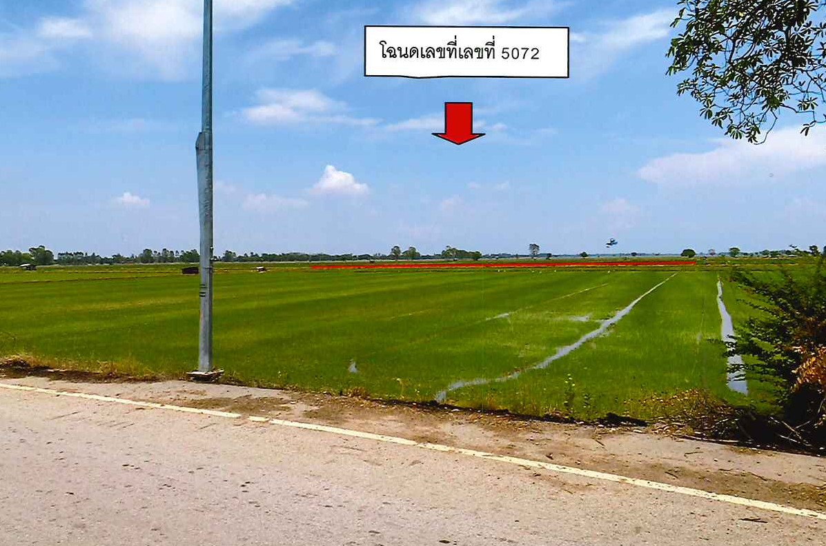รูปที่ดินว่างเปล่า เขาแก้ว สรรพยา ชัยนาท